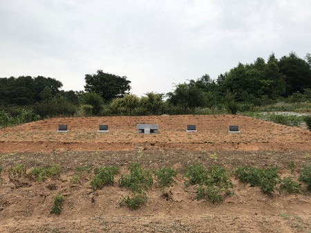 전주묘지관리M